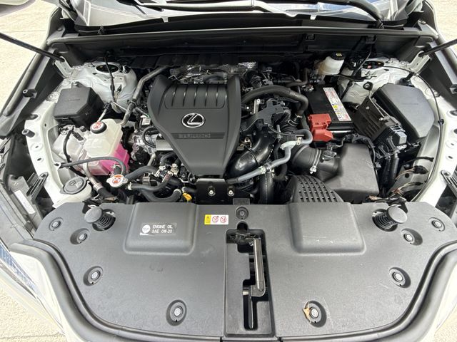 2024 Lexus NX - $40,998