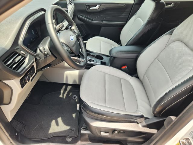2023 Ford Escape Platinum White at DeMontrond Ford
