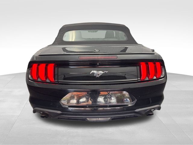 2022 Ford Mustang EcoBoost 8