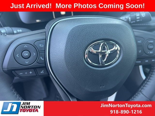 2024 Toyota RAV4 Limited 10