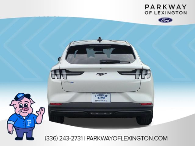 New 2026 White Ford Premium image 4