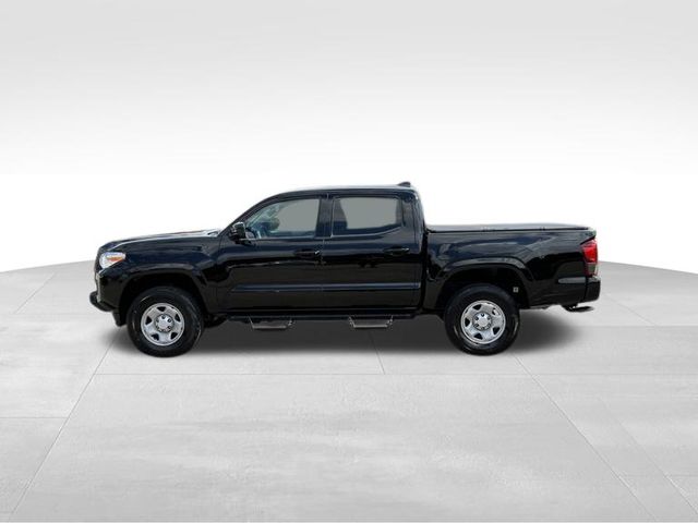 2023 Toyota Tacoma  20