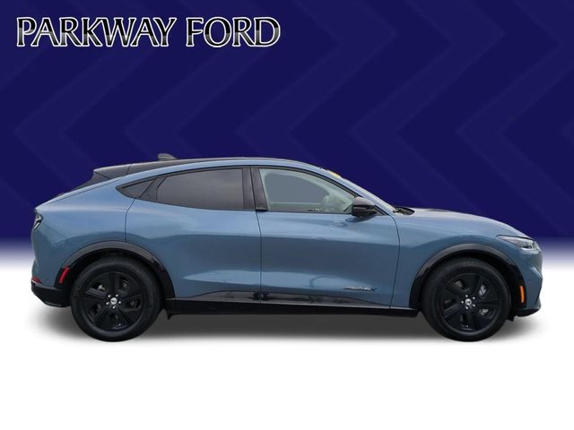 Used 2023 Blue Ford California Route 1 image 6
