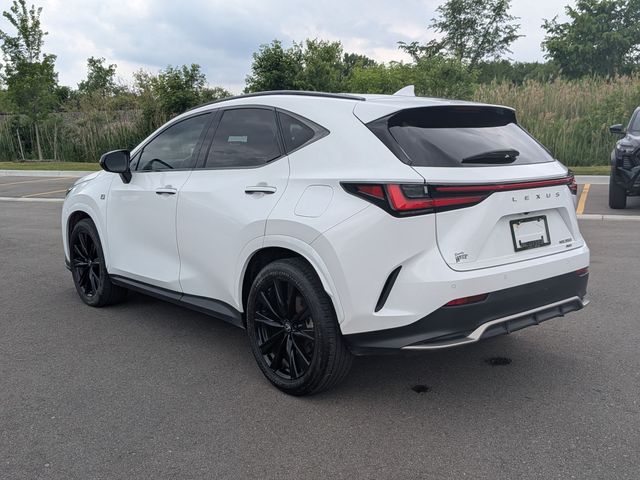2024 Lexus NX - Image 3