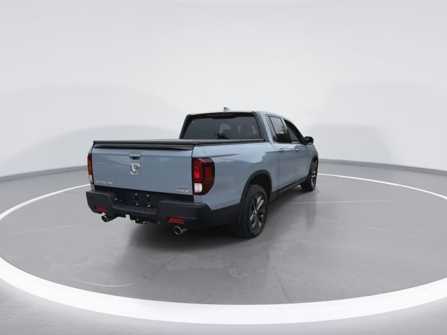 Used 2023 Gray Honda Sport image 10