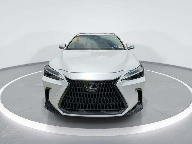 Used 2023 Lexus NX SUV
