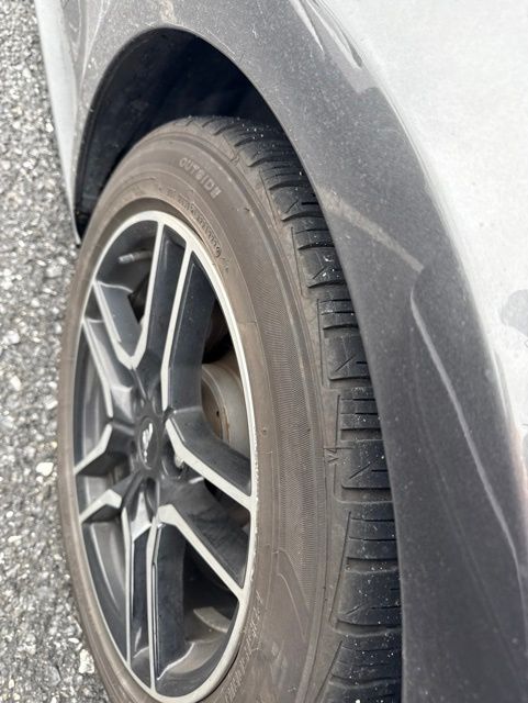 2019 Ford Mustang GT Gray at Grove City Ford