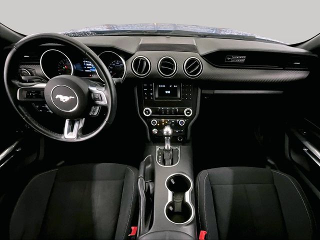 2020 Ford Mustang EcoBoost Blue at Bob Ruth Ford