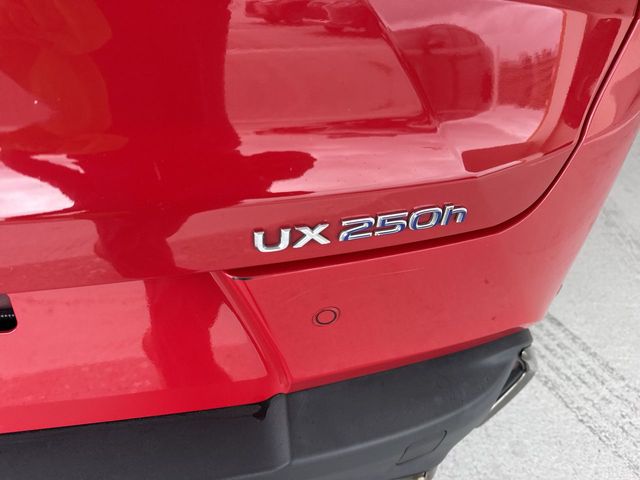 Used 2022 Lexus UX SUV