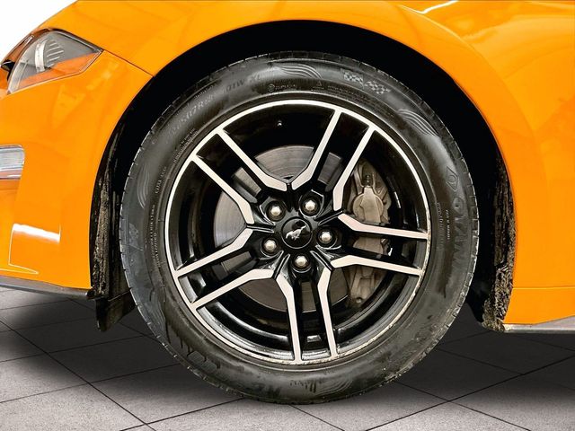 2019 Ford Mustang GT Premium Orange at Grove City Ford