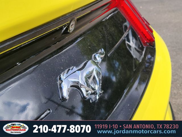 Used Car 2021 Ford Mustang  Ecoboost For Sale Under $25,000 In San Antonio, Texas