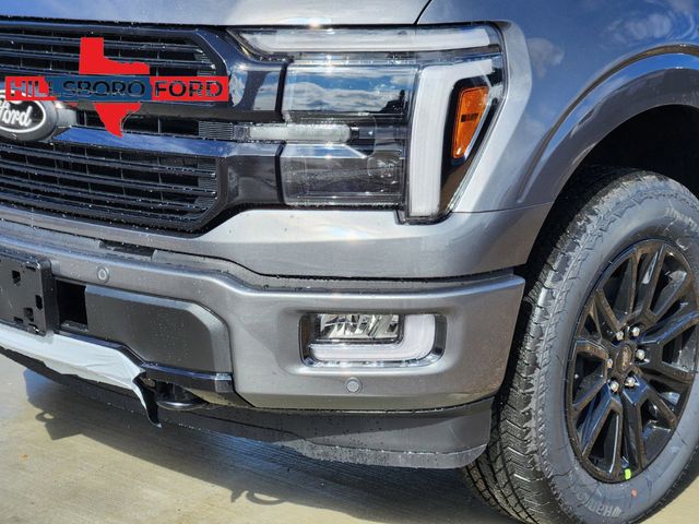 2025 Gray Ford F-150 Platinum 4X4 Truck