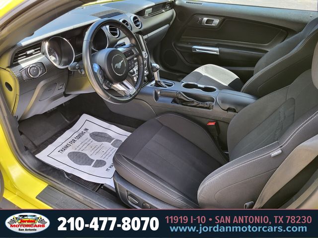 Used Car 2021 Ford Mustang  Ecoboost For Sale Under $25,000 In San Antonio, Texas