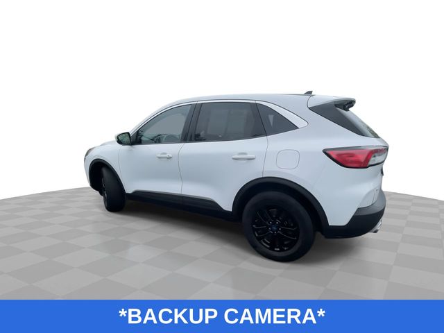 Used 2020 Ford Escape For Sale in New Hudson, MI