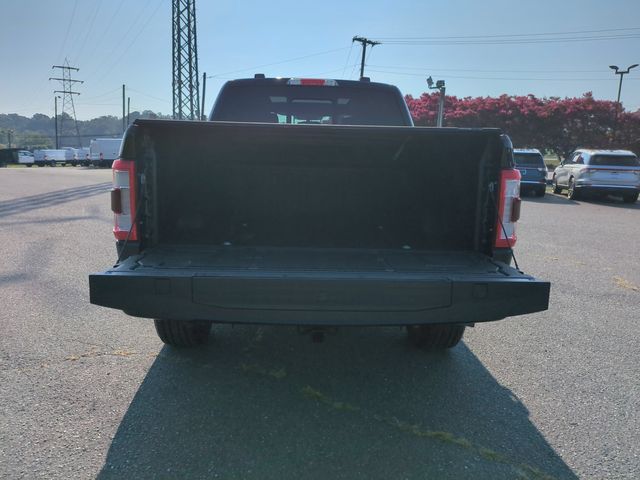 Used 2023 Black Ford Platinum image 32