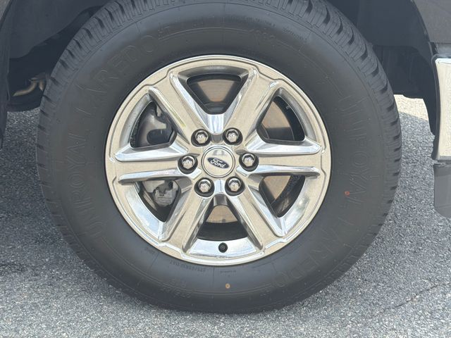 Used 2024 Ford F-150 Truck