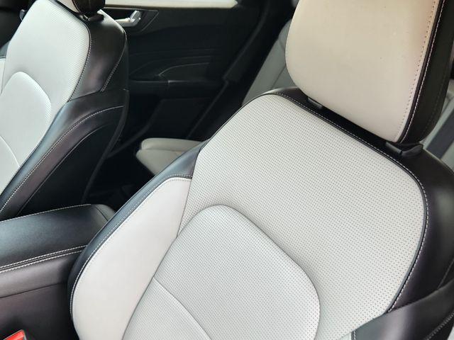 2023 Ford Escape Platinum White at DeMontrond Ford