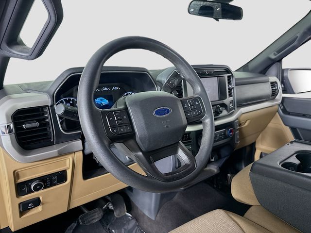 2023 Ford F-150 XLT photo