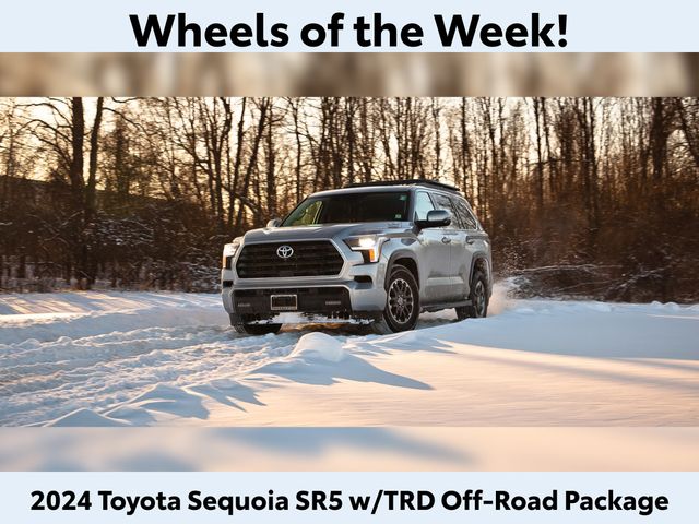 2024 Toyota Sequoia SR5 4WD