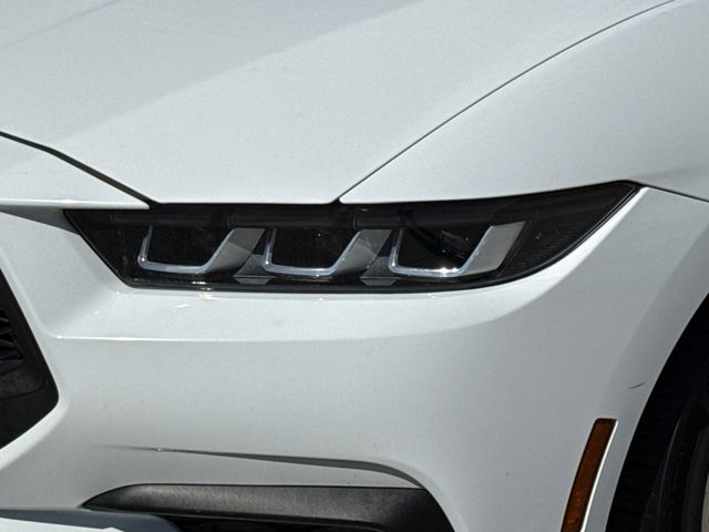 Used 2024 White Ford EcoBoost Premium image 4