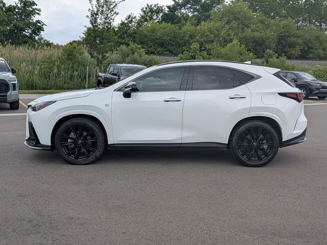 2024 Lexus NX - Image 2