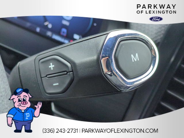 Used 2025 White Ford STX image 24