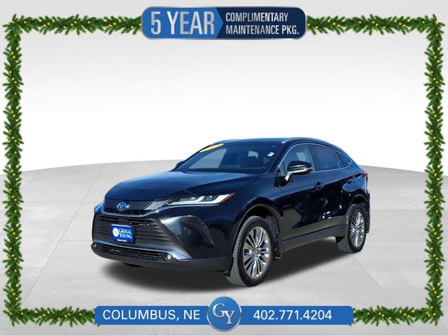 2024 Toyota Venza XLE AWD