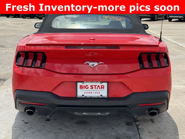 2024 Ford Mustang EcoBoost Premium Red at Baytown Hyundai