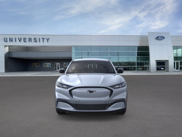 New 2026 Gray Ford Select image 6