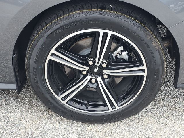 2025 Ford Mustang EcoBoost:167268A