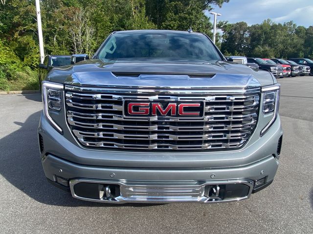 2023 GMC Sierra 1500 Denali 2