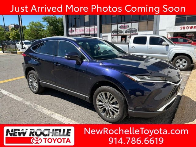 2024 Toyota Venza XLE AWD