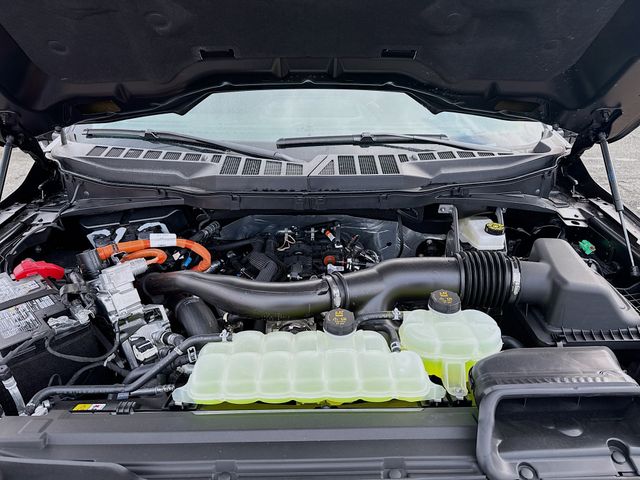 2025 Ford F-150 XLT photo