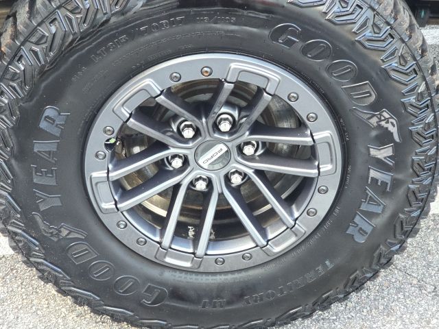 2020 Ford F-150 Raptor:C02483A