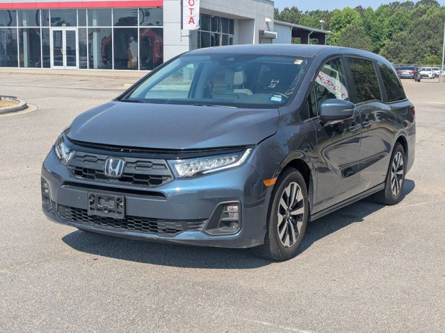 2025 Honda Odyssey EX-L Gray at Stokes Honda North