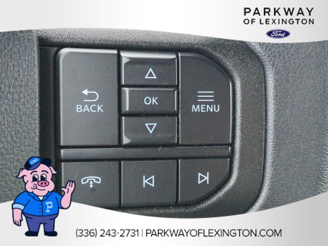 Used 2025 White Ford STX image 17