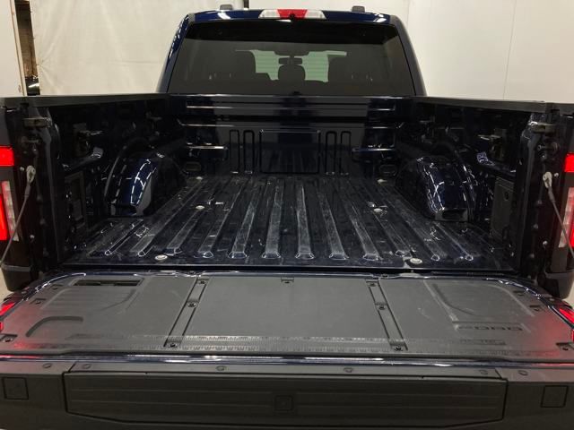 2024 Ford F-150 Lightning Flash photo