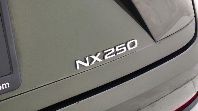 2023 Lexus NX 250 Premium Green at DeMontrond Auto Country