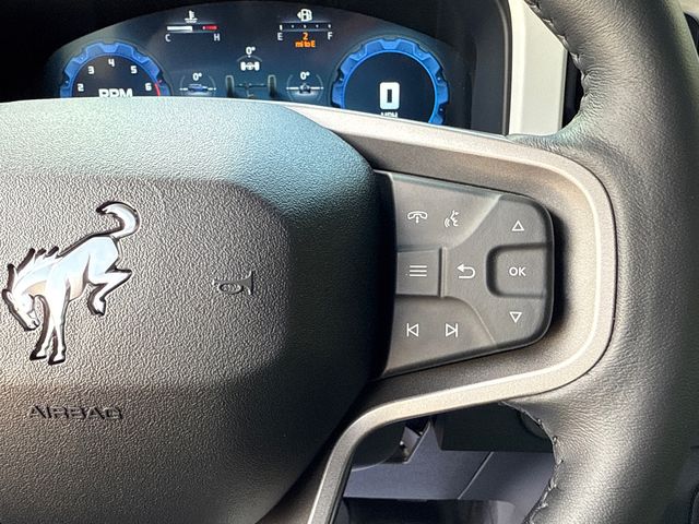 New 2025 White Ford Stroppe image 29