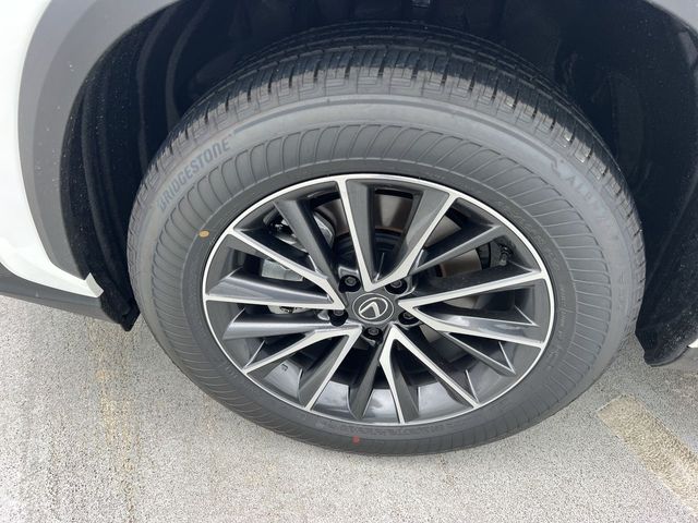 Used 2025 Lexus NX SUV