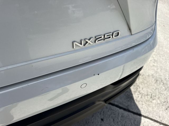 2024 Lexus NX 250 - Photo 25