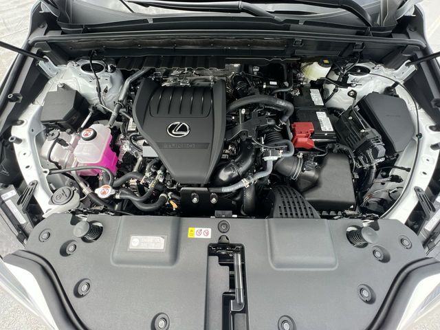 2024 Lexus TX 350 - $44,998