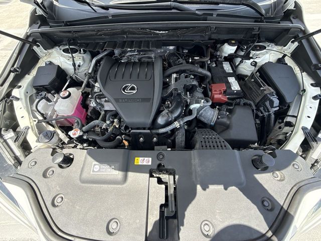 2024 Lexus NX - $43,998