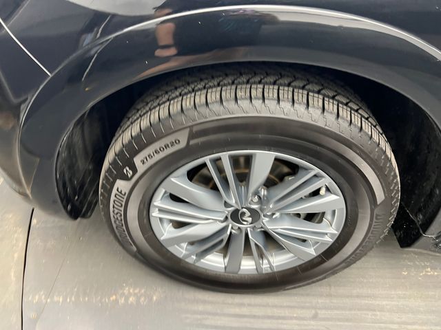2023 Mineral Black Infiniti QX80 LUXE RWD SUV