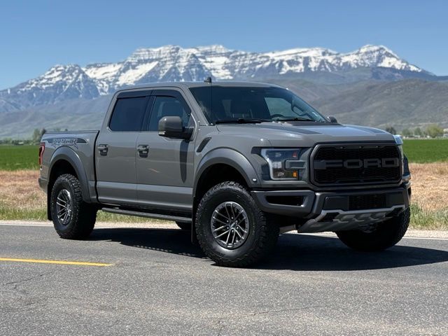 Gray (Lead Foot) 2020 Ford F-150 Raptor SuperCrew 4WD Pickup Truck Four-Wheel Drive Automatic