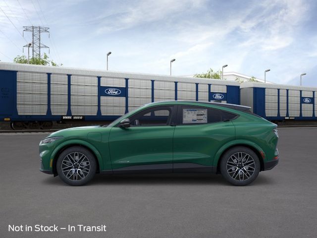 New 2026 Green Ford Premium image 3