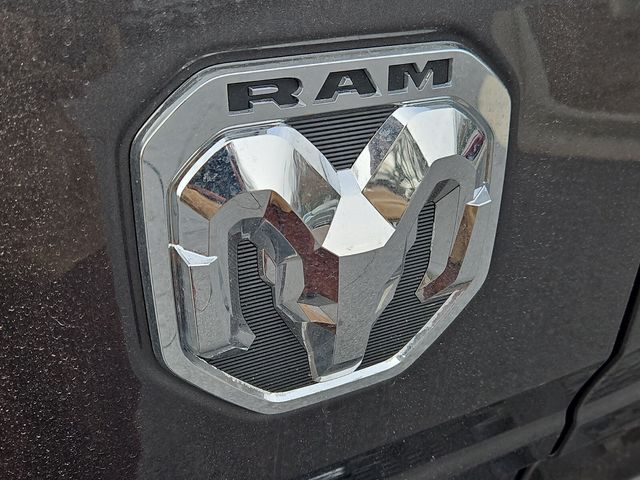 New 2026 Gray Ram Longhorn image 28