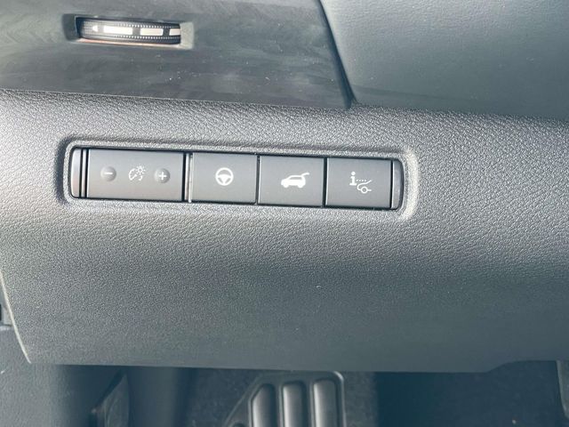 New 2026  Nissan Platinum image 19