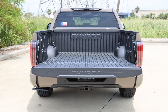 2026 Toyota Tundra Platinum - 10