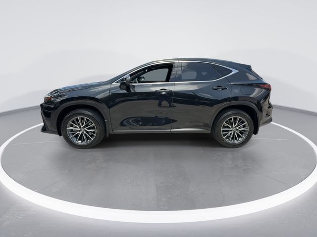 Used 2025 Lexus NX SUV